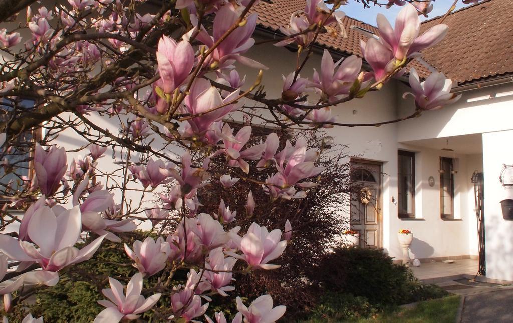 Apartmany Pod Kozakovem Tatobity エクステリア 写真