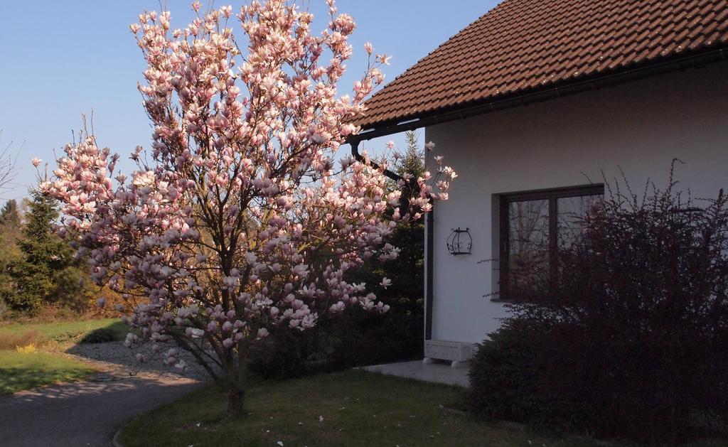 Apartmany Pod Kozakovem Tatobity エクステリア 写真